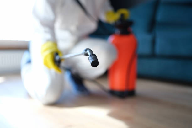 Mold Remediation for Vacation Homes in Huntley, IL